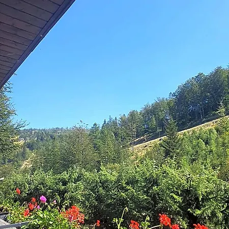 Aparthotel Kora
